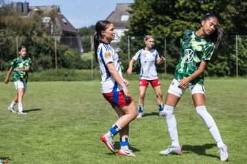 Bild 233 - wBJ Hamburger SV - VfL Wolfsburg : Ergebnis: 5:1